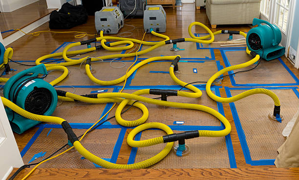 Professional Storm Water Damage Restoration technician working in Randsburg, CA